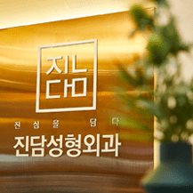 금빛 벽의 '진심을 담다 진담성형외과' 로고
