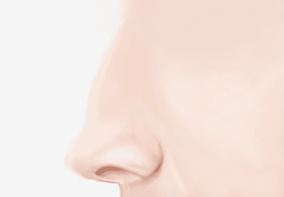 매부리코 옆모습 그림