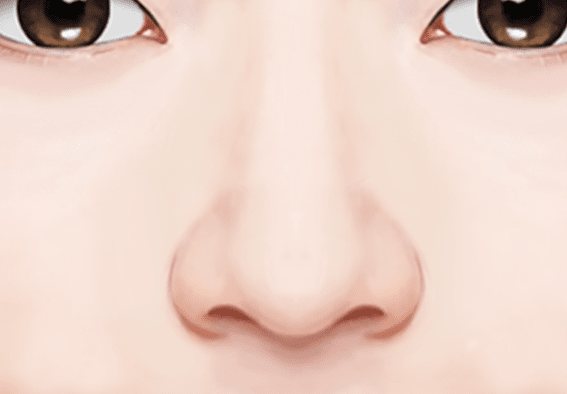 복코 정면 그림