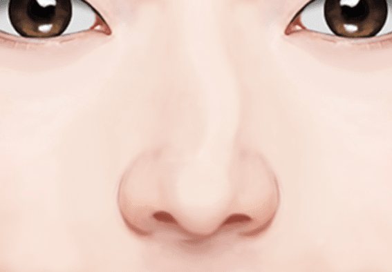 휜 코 정면 그림